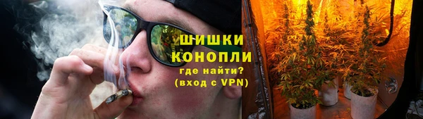 бошки Алексин