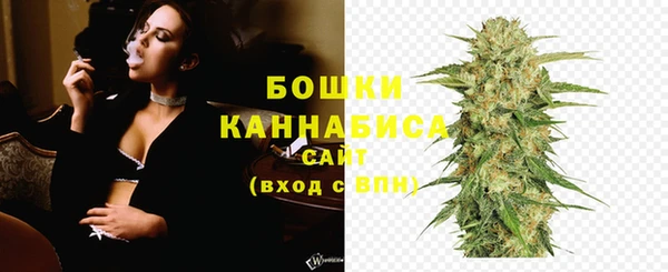 бошки Алексин