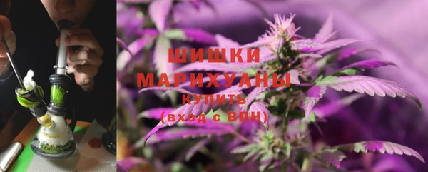 бошки Алексин