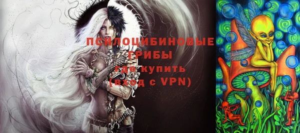 бошки Алексин