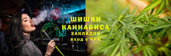 бошки Алексин
