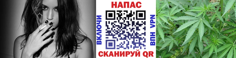 Бошки марихуана Amnesia дарнет шоп Снежинск